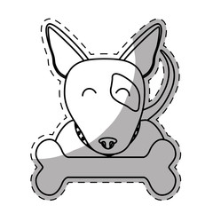 bull terrier dog breed emblem icon image sticker vector illustration design 