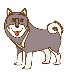 husky dog icon over white background. colorful design. vector illustration