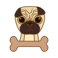 cute pug dog icon over white background. colorful design. vector illustration