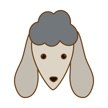 dog face icon over white background. colorful design. vector illustration