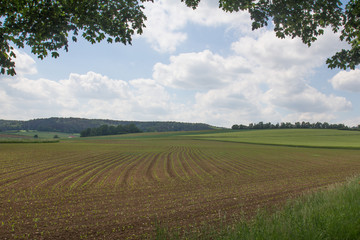 spring in bavaria