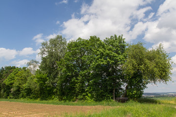 Obraz premium spring in bavaria