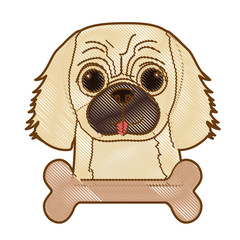 cute dog and bone icon over white background. colorful design. vector illustration