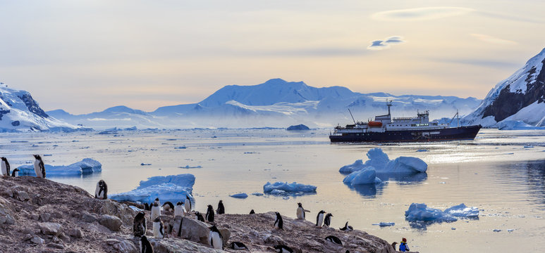 Antarctic cruise ship among icebergs and Gentoo penguins gathere