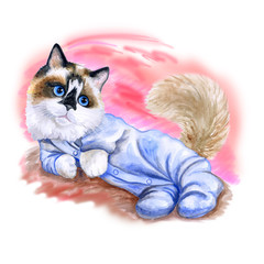 Watercolor portrait of cute kitten in body clothes isolated on pink background. Hand drawn sweet home pet. Bright colors, realistic design. Greeting card design. Clip art. Place for your text