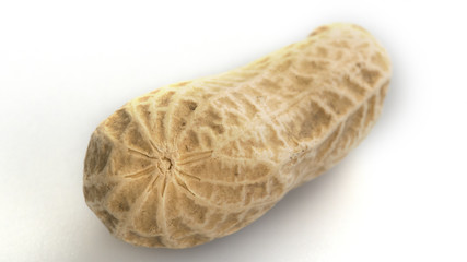 MACRO: Peanut on white background
