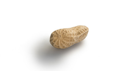 MACRO: Peanut on white background