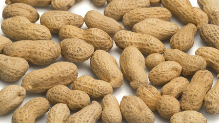 CLOSE UP: Peanuts on white background