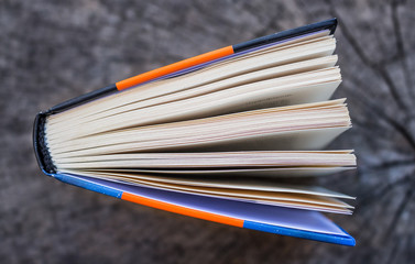 top view of an open book on a wooden board