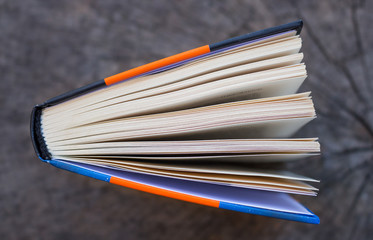 top view of an open book on a wooden board