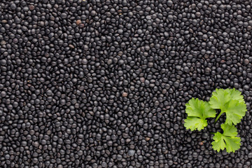 Food and cookery background of healthy dried  black lentils.