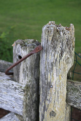 Old rotting fence gate.