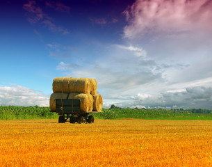 Obraz premium Tractor collecting straw bales