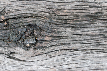 wood texture. background old panels