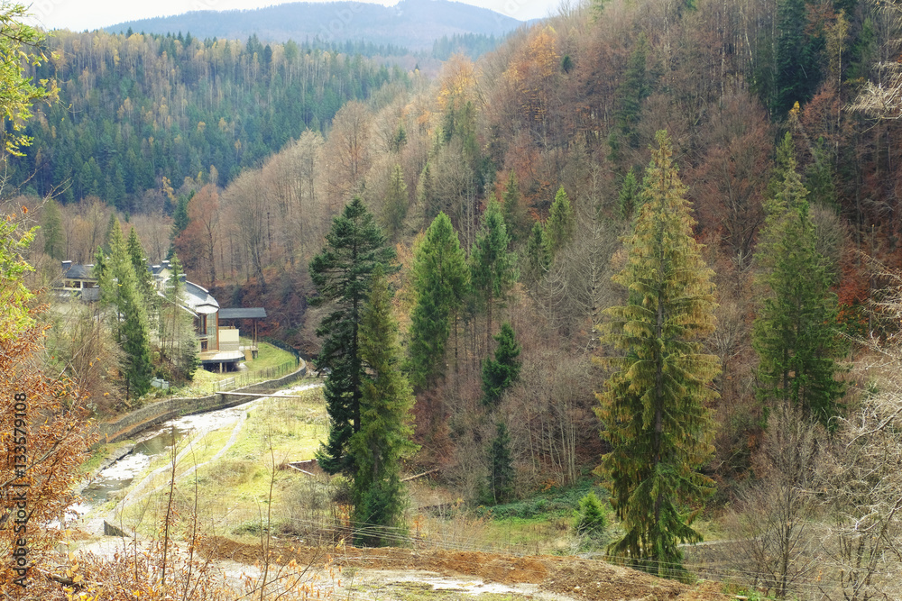 Sticker view of autumn mountains