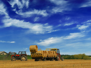 Obraz premium Tractor collecting straw bales