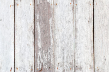 wood texture. background old panels
