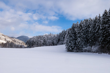 Schwarzwald im Winter