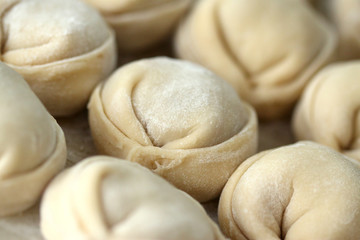 meat dumplings