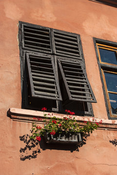 Floral Window Romania