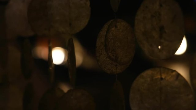Shell wall - Wind Chimes