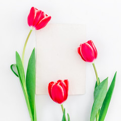Tulip flowers and paper card isolated on white background. Flat lay, Top view.
