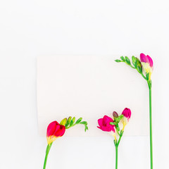 Freesia and paper card isolated on white background. Flat lay, Top view.
