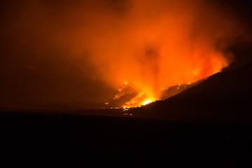 Fototapeta na wymiar Wildfire burns near Bridgeport, California in the forests of the Sierra Nevada