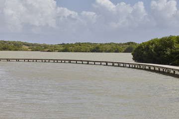 Fototapeta na wymiar Holzbrücke über einem Salzsee im Vogel Reservoir