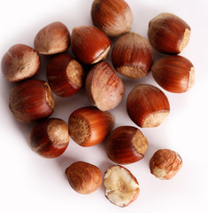 hazelnut