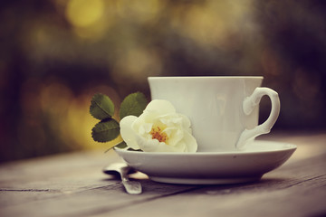 Obraz na płótnie Canvas Dogrose and white cup with a spoon
