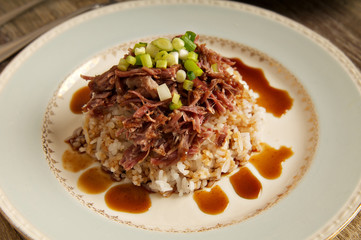 pulled pork on rice