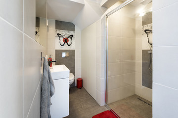 Modern bathroom with a shower