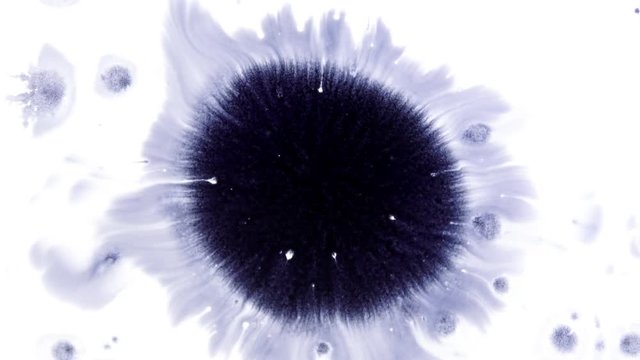Beautiful watercolor ink drops on white paper, paint bleed Bloom, with black circle organic flow expanding, splatter spreading on clear background. Perfect for motion graphics, digital composition