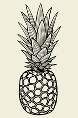 Pineapple vector Illustration