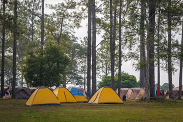 Landscape of Phukradung national park of Thailand