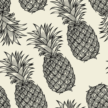 pineapples hand drawn sketch.