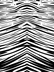 Zebra symmetrical texture black/white 04