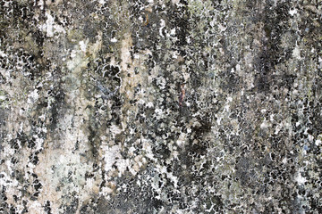 white concrete wall texture