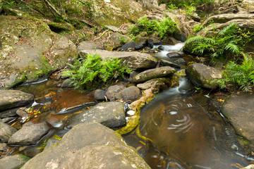 Landscape of Phukradung national park of Thailand