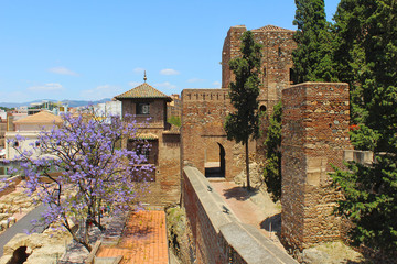 Alcazaba de Málaga en primavera