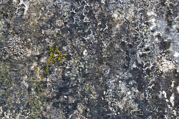 white concrete wall texture