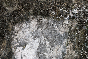 white concrete wall texture