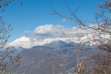 Snowy mountain massif in Val di Susa through branches. Piedmont. Italy