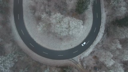 Road curve in the forest - aerial view, hoar frost