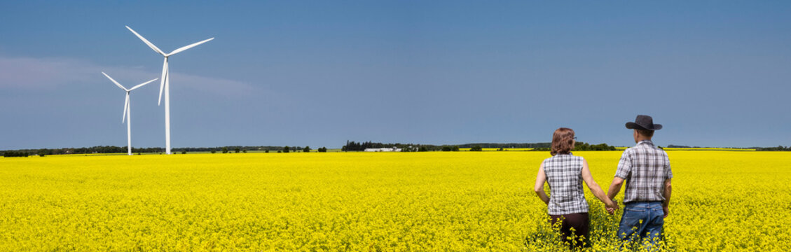 panoramic image of a caucasian farming couple walking through their yellow canola field with two large white turbines turning in the distance in the warm summer afternoon. - Powered by Adobe