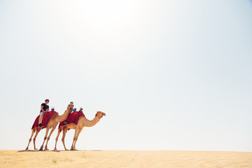 Tourists Riding Through The Desert