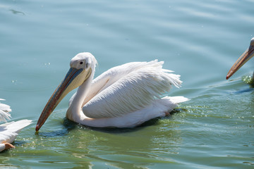 Visit to Safari Ramat Gan