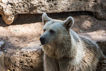 Visit to Safari Ramat Gan