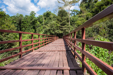 wooden bridge over river leading to forest and sky background